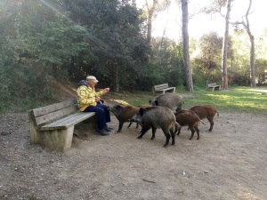 Home donant de menjar als senglars. Autor: CPNSC