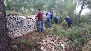 Manteniment dels murs de pedra seca. Autor: XPN