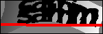 Text per identificar