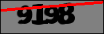 Text per identificar