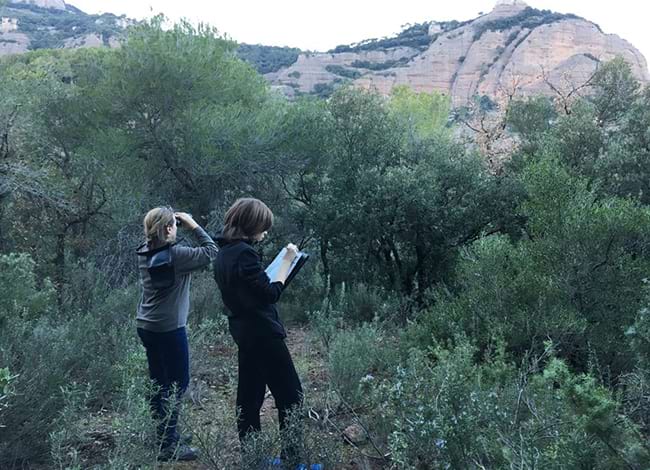 Participació en el recompte de rapinyaires. Autoria: XPN