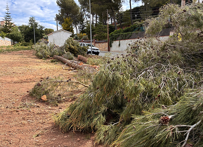 Les franges de protecció perimetral són una de les eines preventives més efectives per reduir el risc d'incendi en les zones d'interfície urbana-forestal. © Laia Ventayol