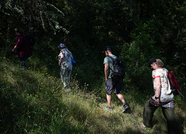Imatge d'alguns dels participants a la FTHub Summer School 2024. Autoria: Forest Therapy Hub