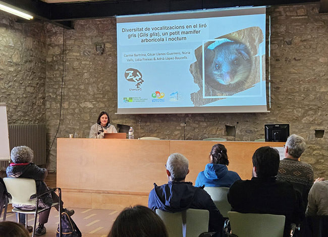 Una de les presentacions, al centre de recursos. Autor: MCNG