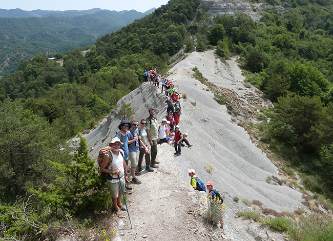 El grup que va anar al castell de Besora, passant pel collet de la Mongia. Autor: Cercle de Voluntaris