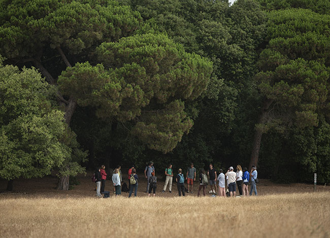 Els boscos del Parc del Montnegre i el Corredor van ser escenari d'algunes sessions. Autoria: Forest Therapy Hub