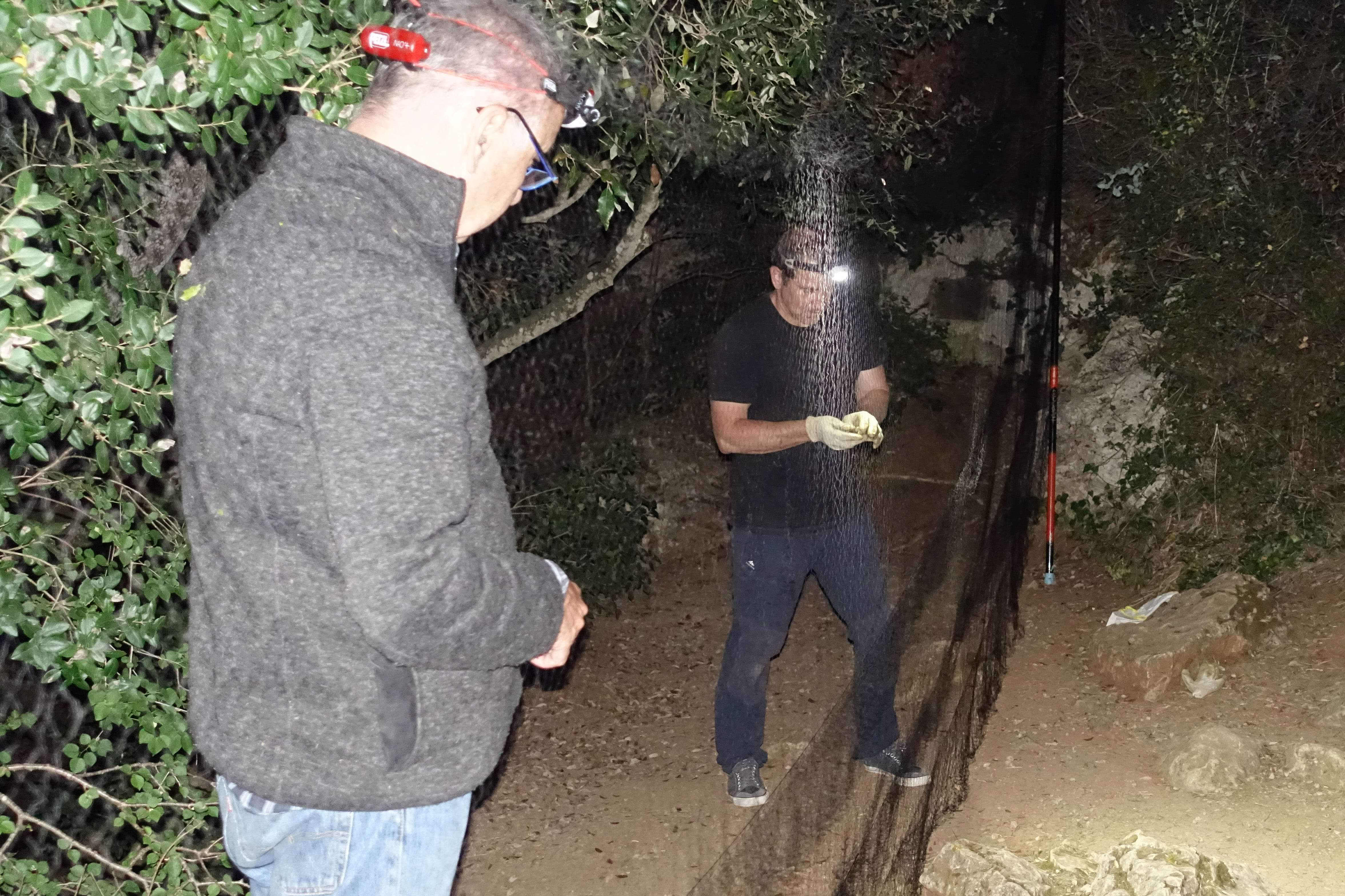 Mostrejant. Autor: Areambiental