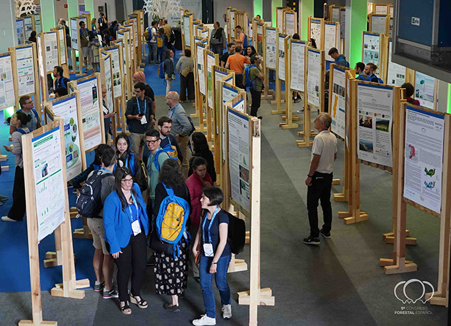 El congrés es va celebrar a Gijón. Autor: Congreso Forestal Español