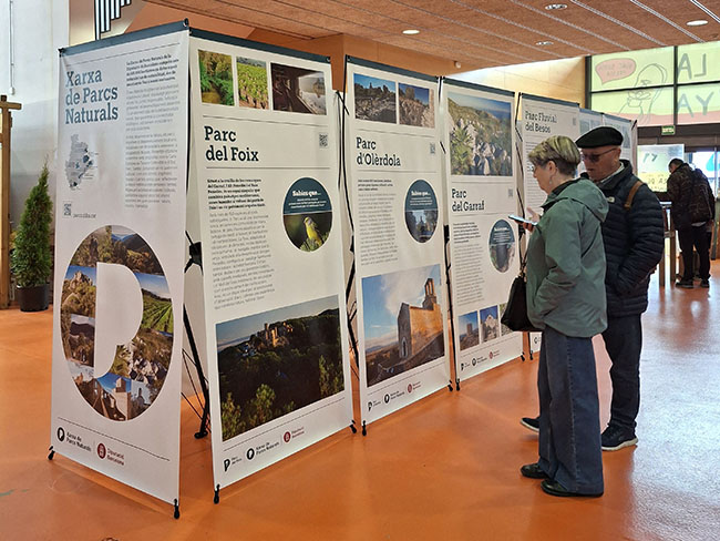 Plafons dels espais naturals de l'exposició. Autor: XPN