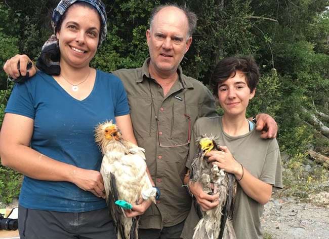 Equip de Biologia de la Conservació amb dos aufranys. Autor: UB-IRBio