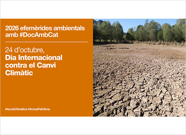 El 24 d'octubre és el Dia Internacional contra el Canvi Climàtic.