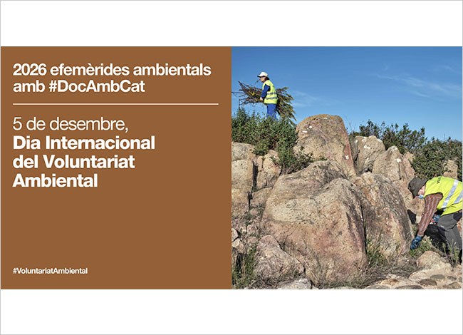 El Dia Internacional del Voluntariat Ambiental se celebrarà el 5 de desembre.