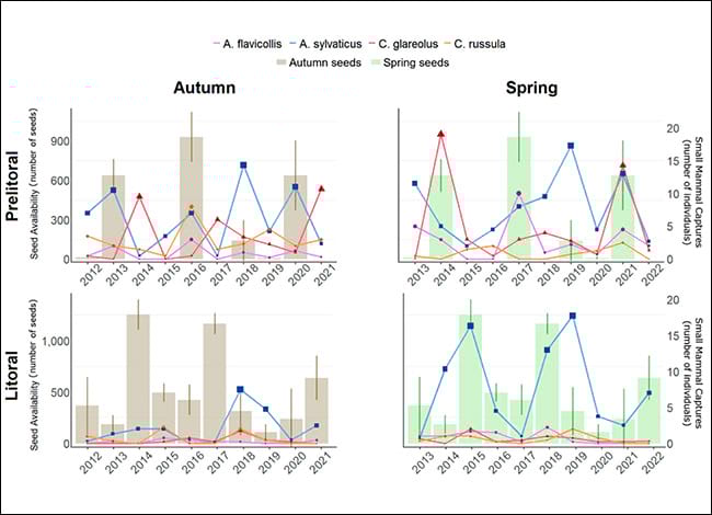 Nombre mitjà de llavors (barres ± SE) disponibles durant el mateix any (tardor color marró) i l'any anterior (primavera color verd) i nombre mitjà de captures (línies) de les quatre espècies de petits mamífers a la primavera i a la tardor.
