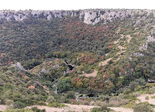 Àrea Natural del Gravine. Autor: XPN