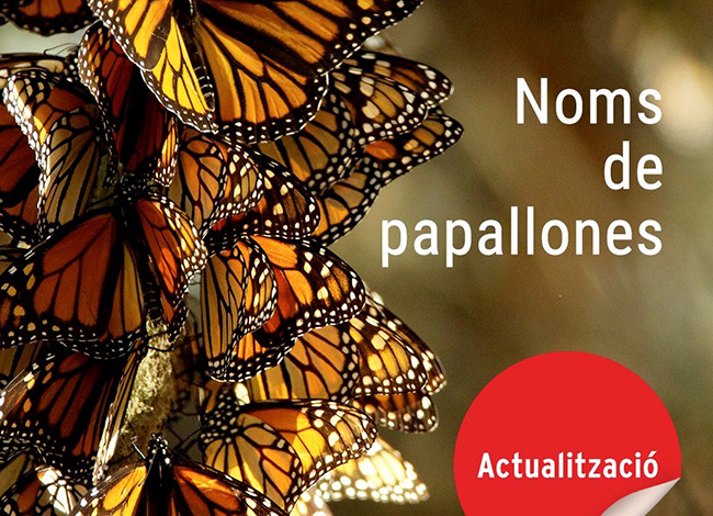 El diccionari de papallones incorpora 55 noves entrades. Autor: TERMCAT