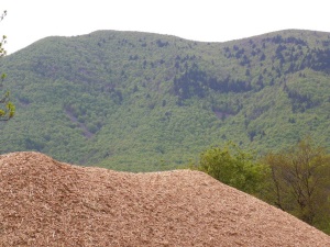 Biomassa. Autor: OTPMIF