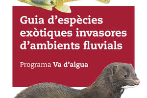 Detall de la coberta. Autor: Diputació Barcelona