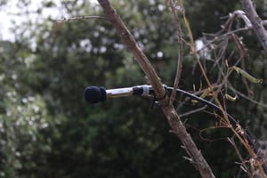 Un dels micròfons instal·lats. Autors: M. Mas i C. Flaquer