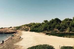 Detall del programa. Autor: Recinte Modernista de Sant Pau