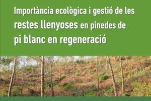 Detall de la portada. Autor: OTPMIFDA