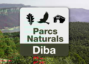 Avatar de la nova app. Autor: XPN