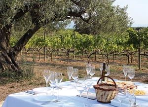 Premis Parc a taula 2019. Autor: Celler Credo