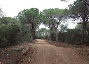 Pista per a prevenció d'incendis. Autor: Diputació Barcelona