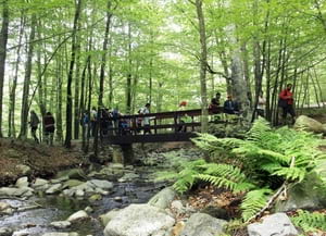 Educació ambiental a la XPN. Autor: Lavola