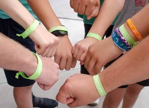 Setmana de la Natura. Autor: XCN