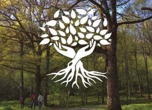 III Congrés. Autor: Associació Sèlvans