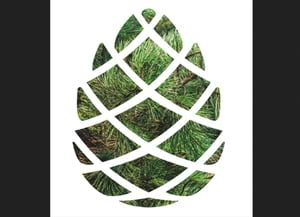 Premis Prevenció Incendis. Autor: Diputació Barcelona