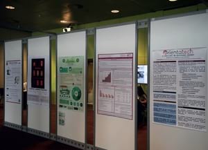 Detall dels pòsters presentats. Autor: XPN