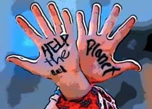 Imatge de la jornada. Autor: Medi Ambient