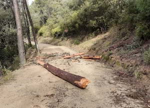 Afectacions del Gloria. Autor: XPN