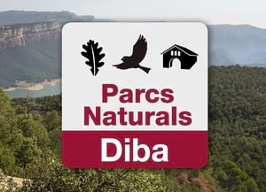 Avatar de l'app. Autor: XPN