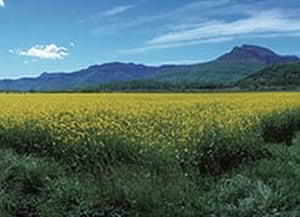 Detall de la imatge de la jornada. Autor: #DocAmbCat