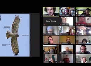 Formació en línia. Autor: Formació DIBA