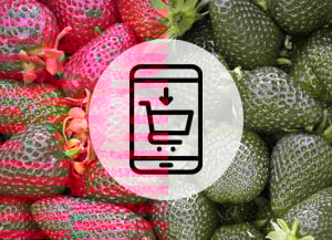 Detall del catàleg. Autor: Parc a taula