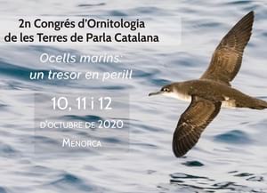 Detall del cartell. Autor: COTPC