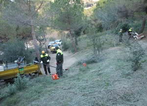 Actuació de prevenció d'incendis forestals per<br />membres d'una ADF. Autor: Diputació Barcelona