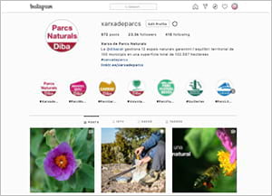 Perfil d'Instagram @xarxadeparcs. Autor: XPN