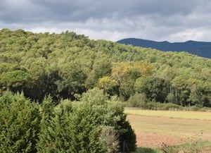 Vistes d’un bosc des de Santa Maria<br />de Palautordera. Autor: CREAF