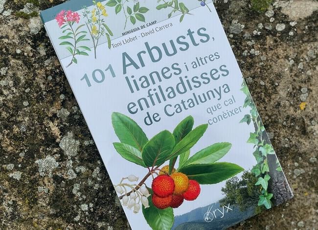 Detall de la portada. Autor: Cossetània Edicions