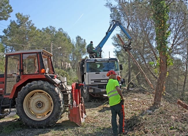 Actuacions de prevenció d'incendis forestals.<br />Autor: Diputació de Barcelona