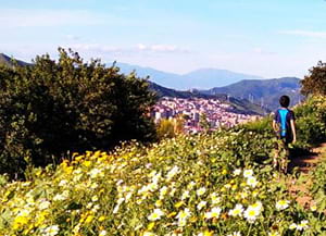 Ciutat i salut. Autor: CUIMPB