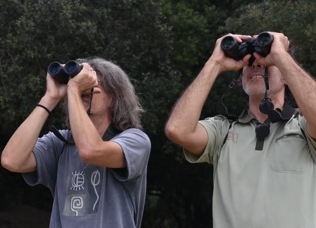 Seguiment i observació d'ocells a la Xarxa de Parcs Naturals. Autor: XPN