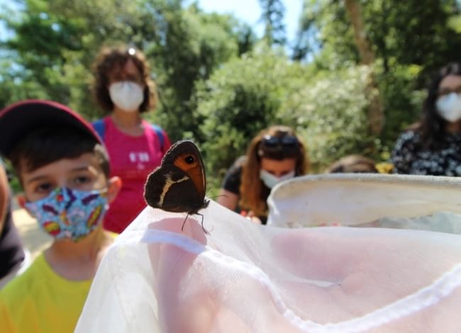 'La Biblioteca, porta del Parc: les papallones de Sant Tou', sortida de la Biblioteca de Tordera. Autora: Sílvia Anfrons