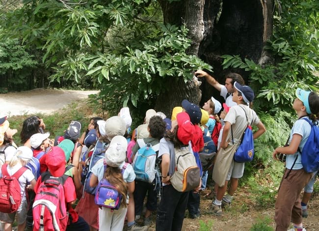 Educació ambiental a la Xarxa de Parcs Naturals. Autor: Jordi Play / Fundesplai