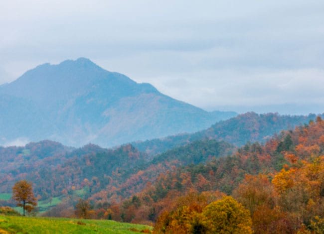 També es farà una visita de camp opcional al Montseny. Autor: Arnau Soler