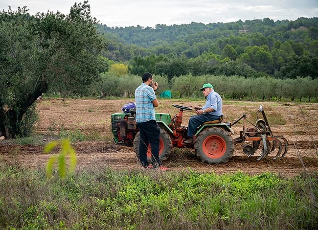 El relleu generacional, protagonista de la nova història de BCN Smart Rural. Autor: Patxi Uriz / Diputació de Barcelona.